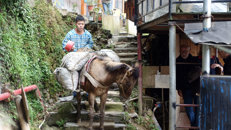 2017-04-11_154111 china-2017.jpg - Longsheng - Pingan - Reisterassen